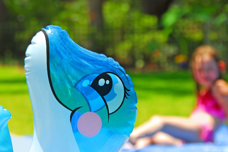Habt ihr schon einen aufblasbaren Delfin? Habt ihr schon einen aufblasbaren Delfin?