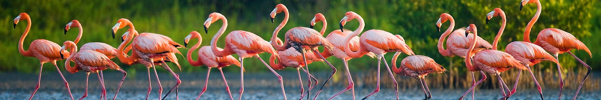 Zoos in Frankreich