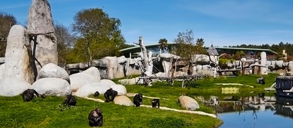 Zoo de La Palmyre im Südwesten Frankreichs