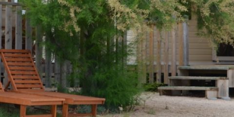 Camping und Komfort – Familienurlaub in SunLodge Aspen und SunLodge Redwood
