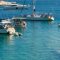 Bootstour beim Camping in Kroatien – Abstecher aufs Meer