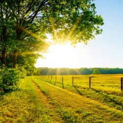 camping in der sonne landschaft sonnenschein fahrrad