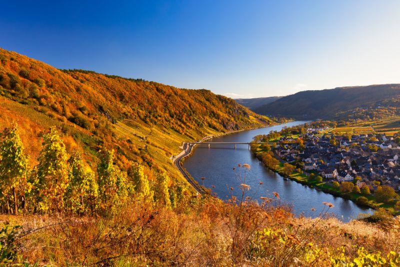 Blick auf die Mosel