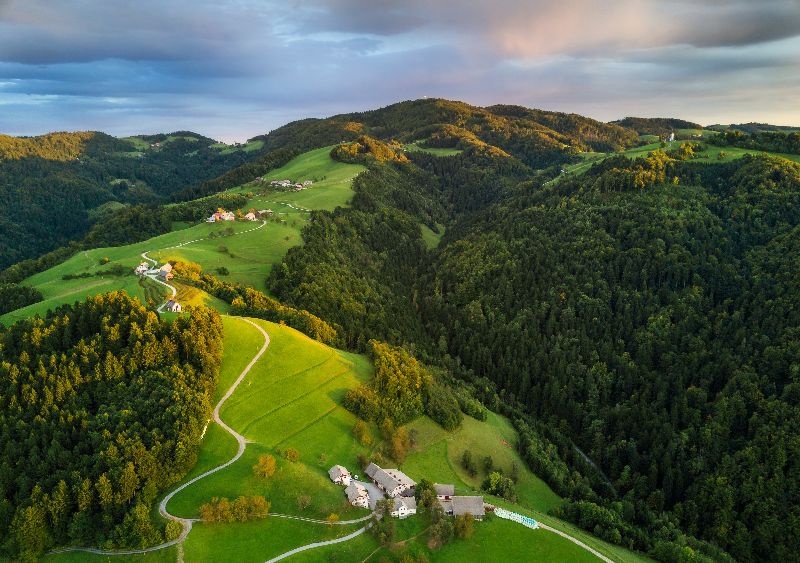 Die Wälder Sloweniens.