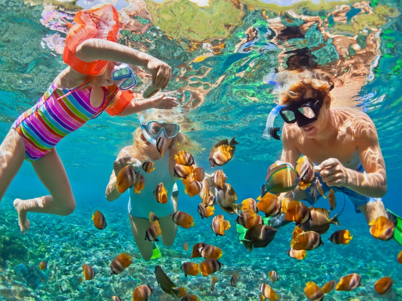 Wassersportarten für Kinder: Schnorcheln