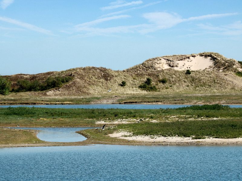 Strand ’t Zwin in Cadzand