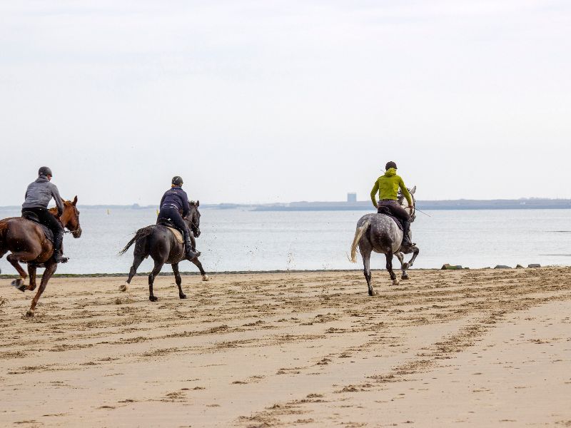 Strand het Watergat in Renesse