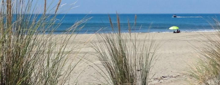 Die 7 schönsten Strände in Zeeland