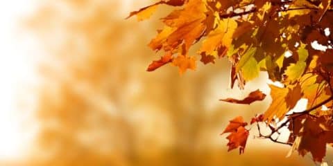 Camping im Herbst –  Farbenfroher Familienurlaub