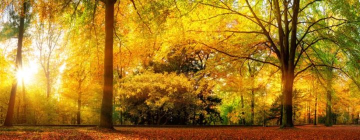 Campingziele für die Herbstferien