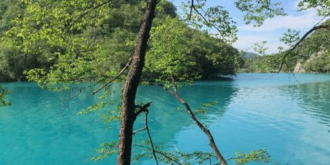 Kroatiens Märchenwald: Der Nationalpark Plitvicer Seen