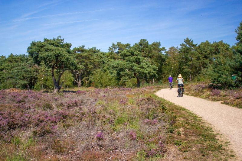 Nationalpark Maasduinen Limburg