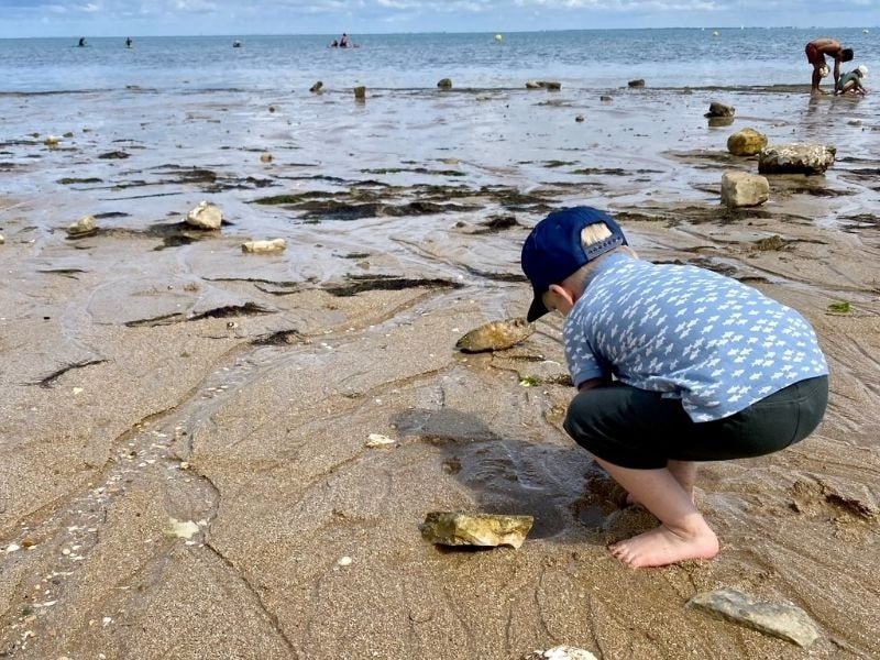 À la recherche de coques et de coquillages à marée basse à La Flotte.