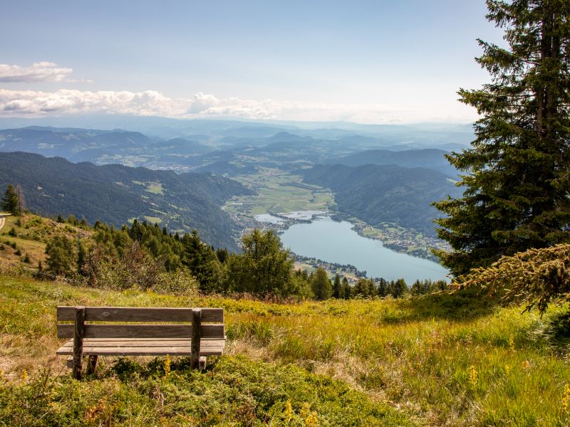 Blick auf den Ossiacher See