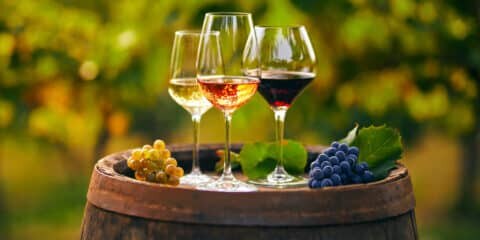 Die Weine des Gardasees
