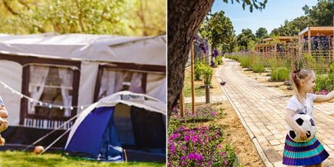 Camping oder Glamping, Stellplatz oder Mietunterkunft – Welche Urlaubsform passt zu euch?
