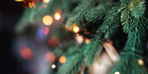 Silvester auf dem Campingplatz: So wird der Jahreswechsel ein Highlight
