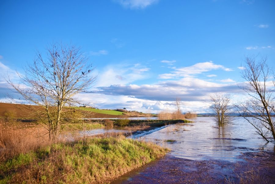Überflutetes Feld zwischen Hügeln, kahle Bäume