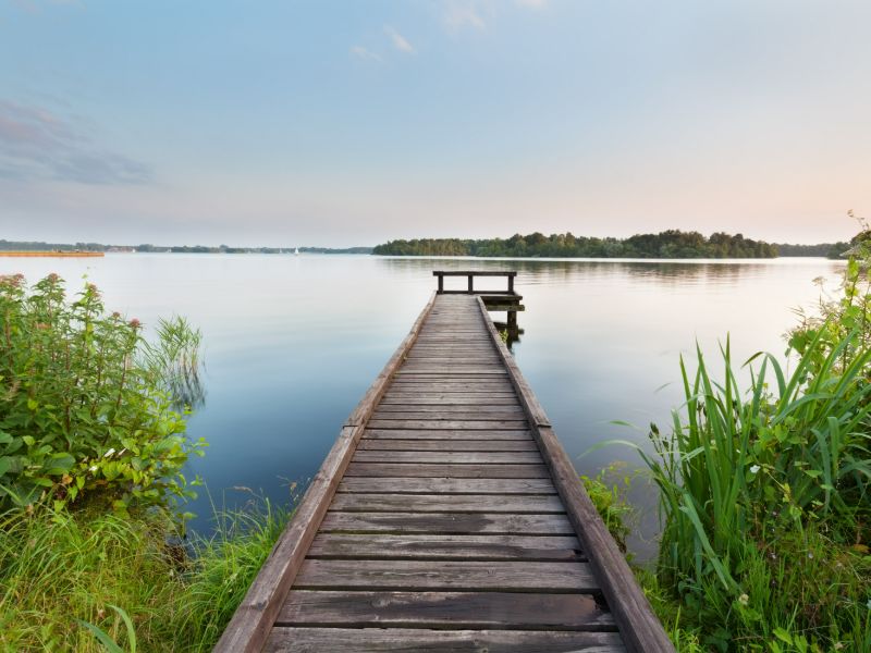 Langer Holzsteg, der in den See reicht. Links und rechts viele Grünpflanzen. Blick auf die andere Uferseite.