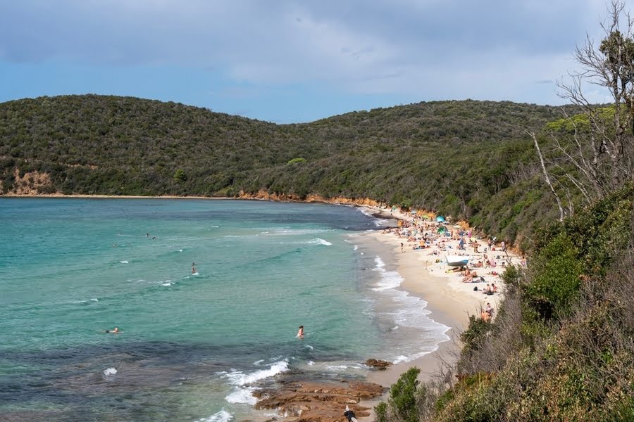 kleiner Strand mit klarem blauem Wasser in waldreicher Umgebung