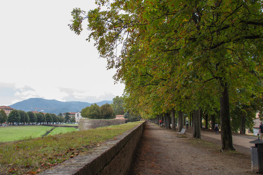 grüne Stadtmauern von Lucca