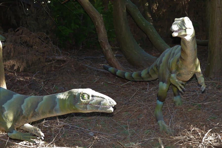 Zwei Dinosaurierfiguren im Schatten